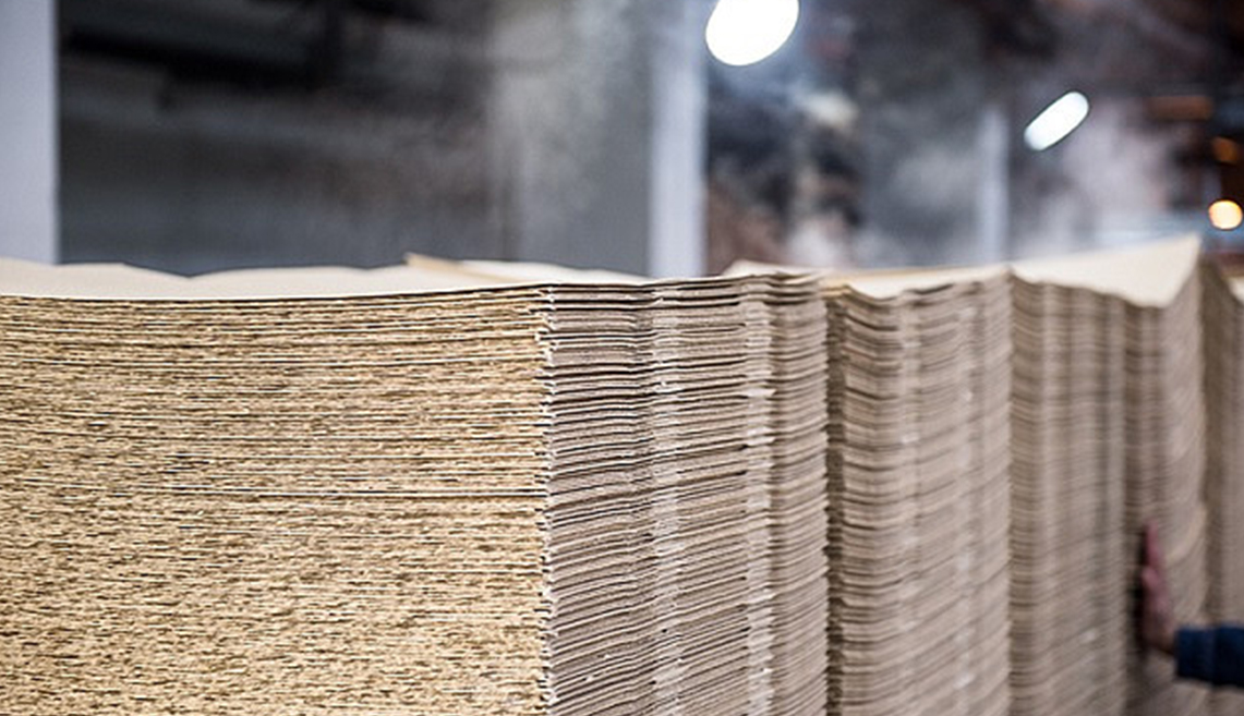 산동 일조 펄프 프로젝트